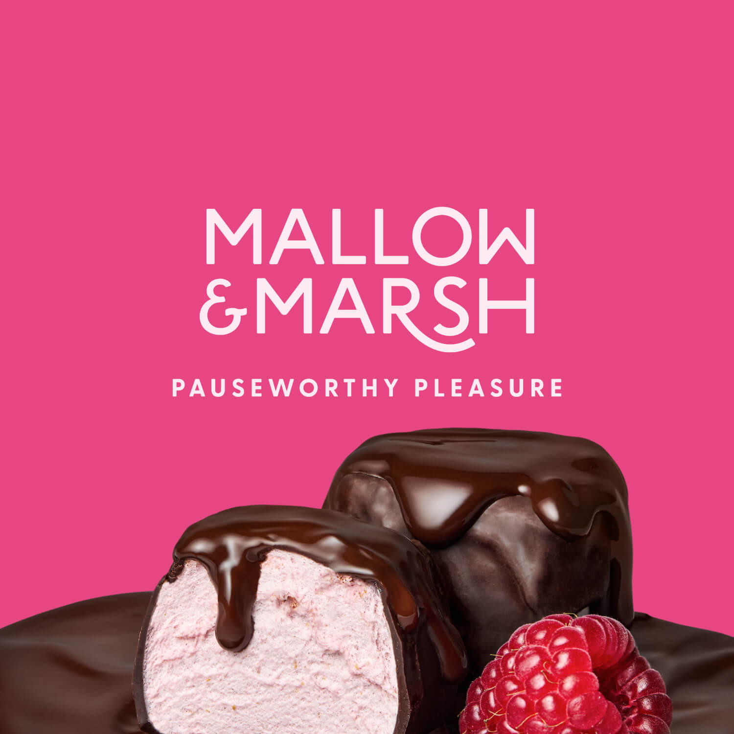 Dark Chocolate over Raspberry Mallows