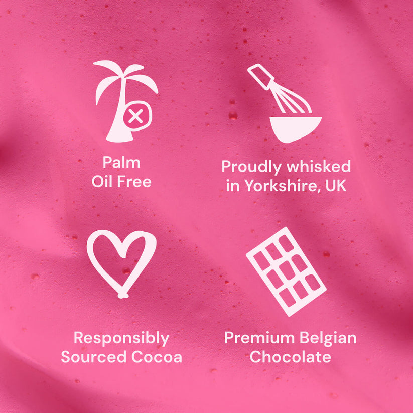 Chocolatey Box of 12 - Coconut, Chocolate, Vanilla & Raspberry Pouches