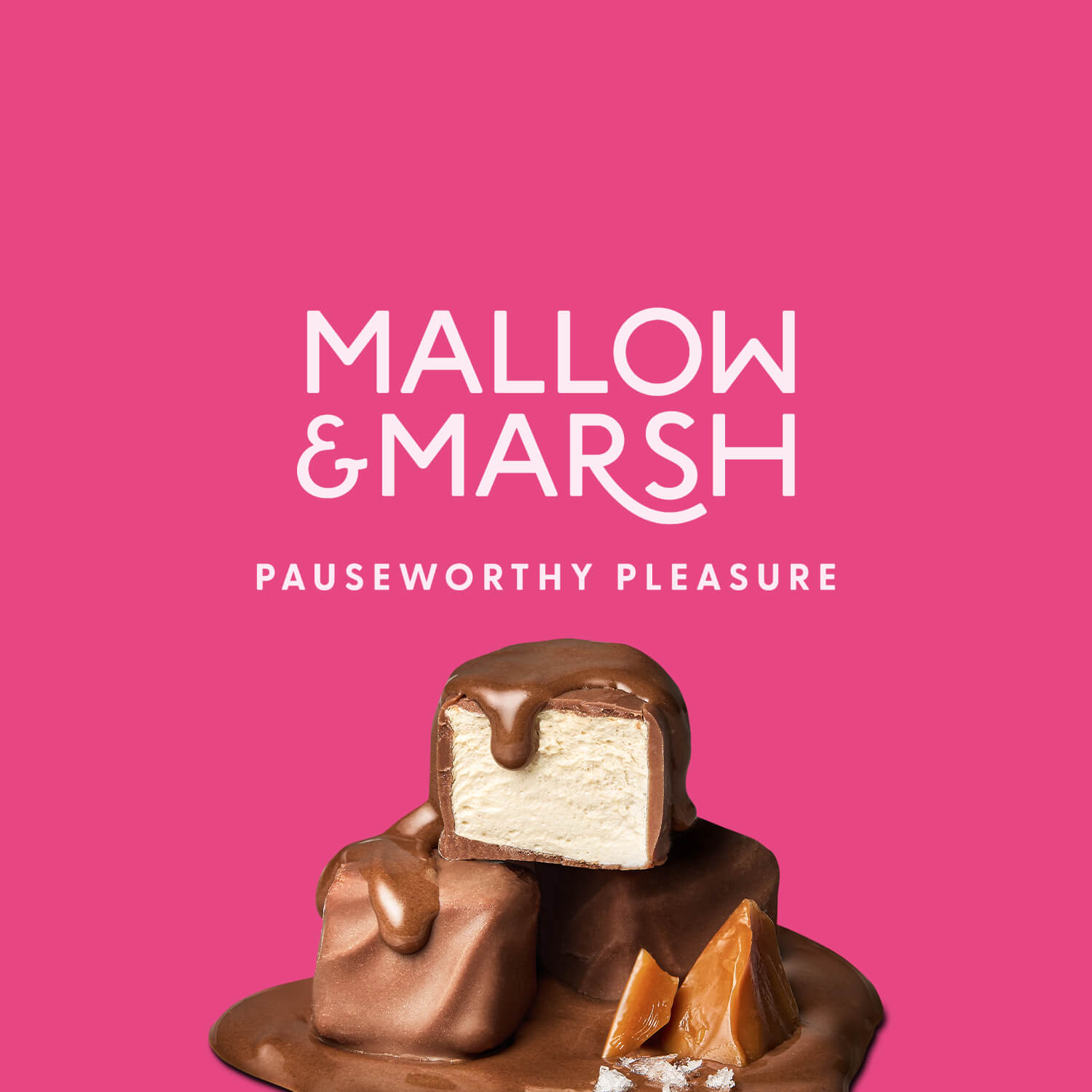Milk Chocolate over Salted Caramel Mini Mallows