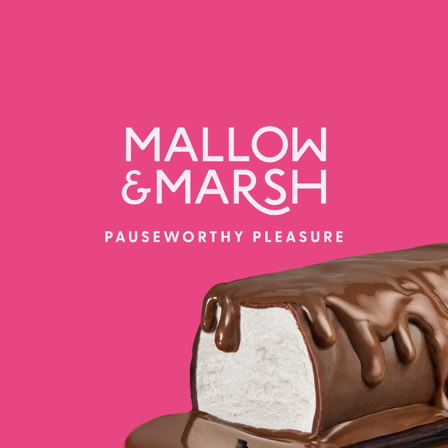 Milk Chocolate over Vanilla Mallow Bar